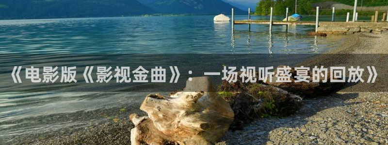 九七電影院手機免費版：《電影版《影視金曲》：一場視聽盛宴的回放》