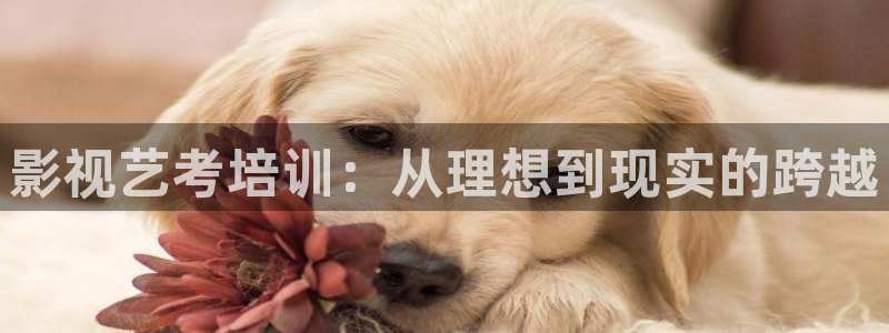 九七電影院97網(wǎng)電視?。河耙曀嚳寂嘤?xùn)：從理想到現(xiàn)實(shí)的跨越